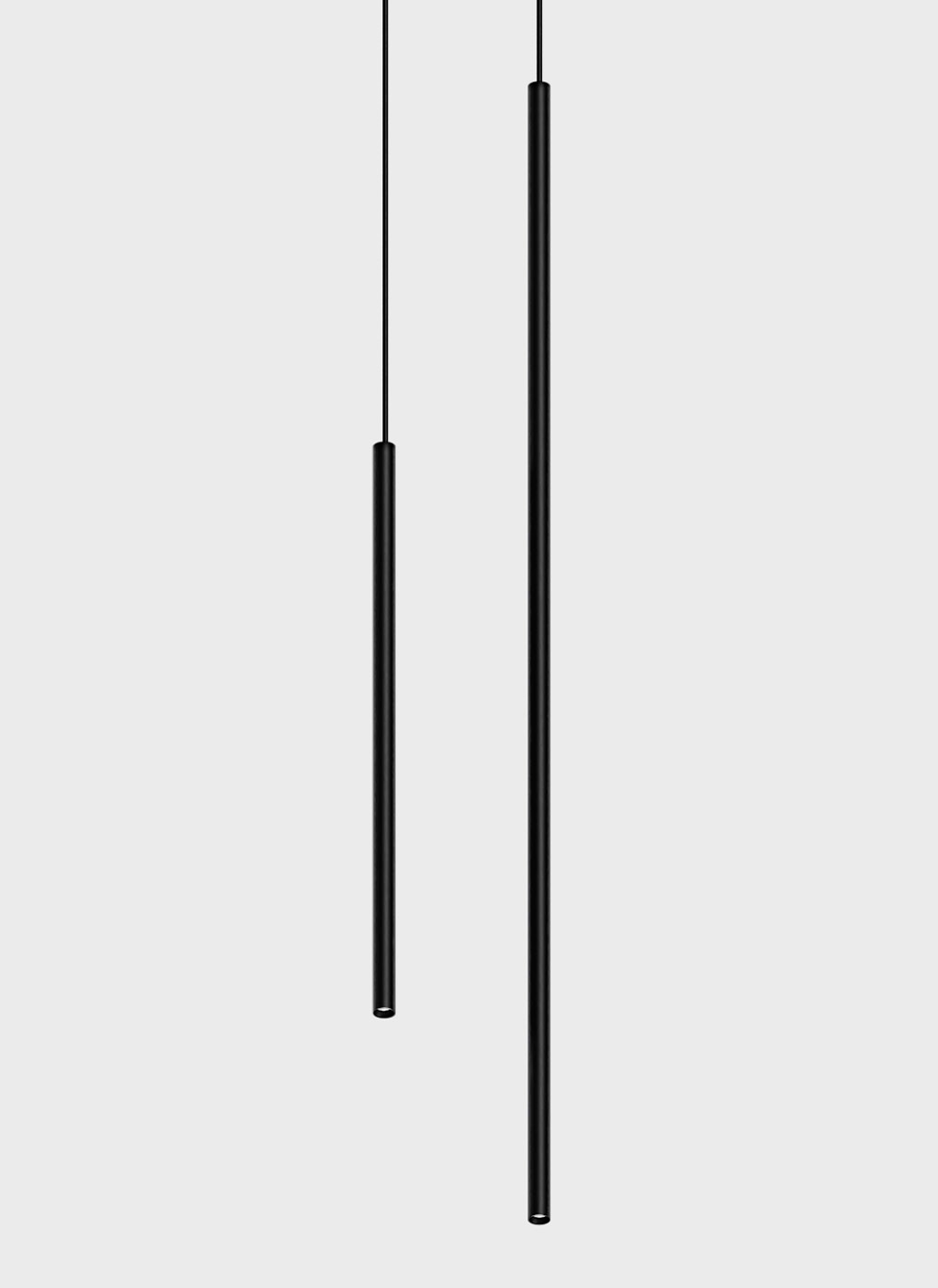 RULE LOCUS PDNT 15