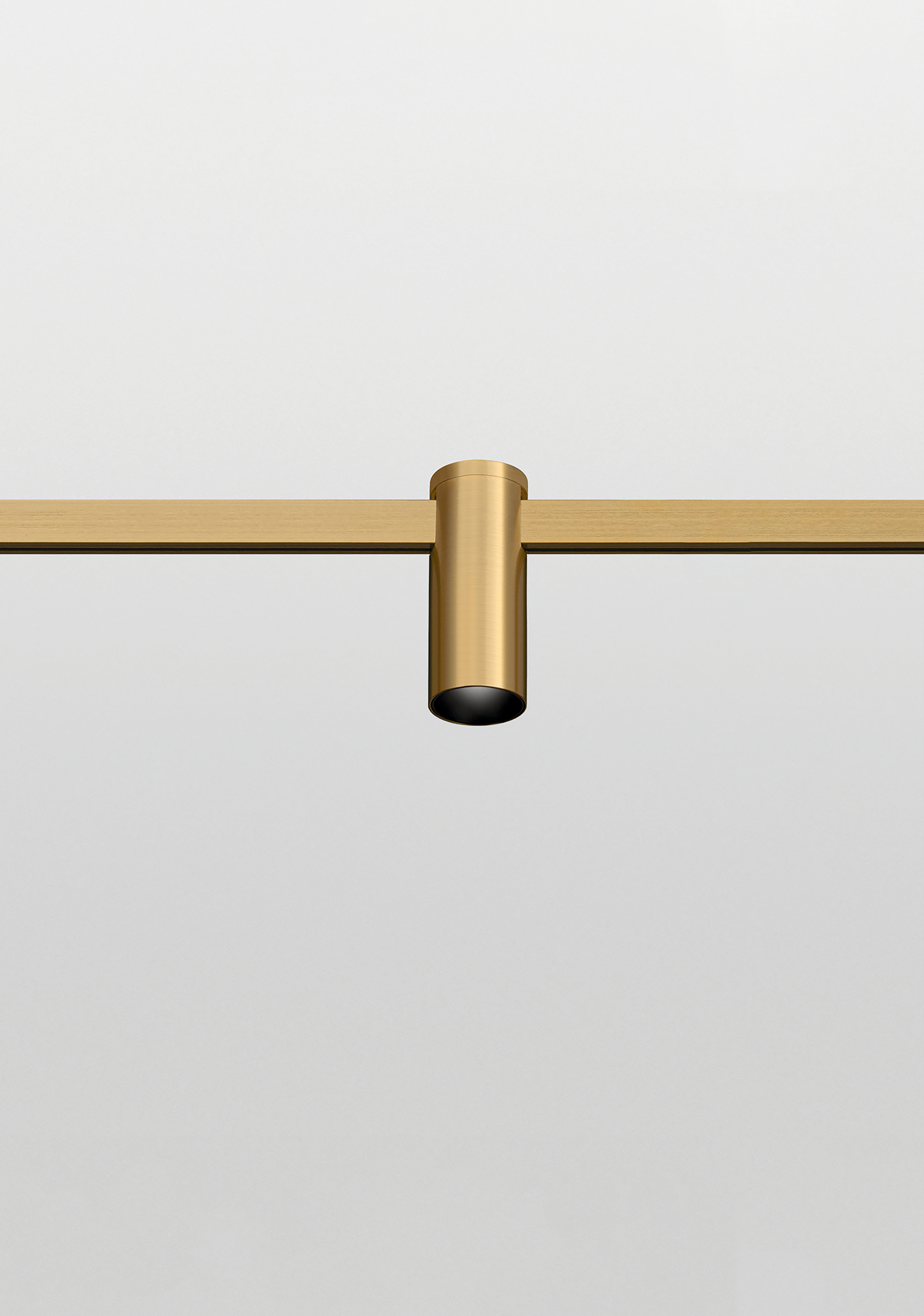 BRASS LOCUS