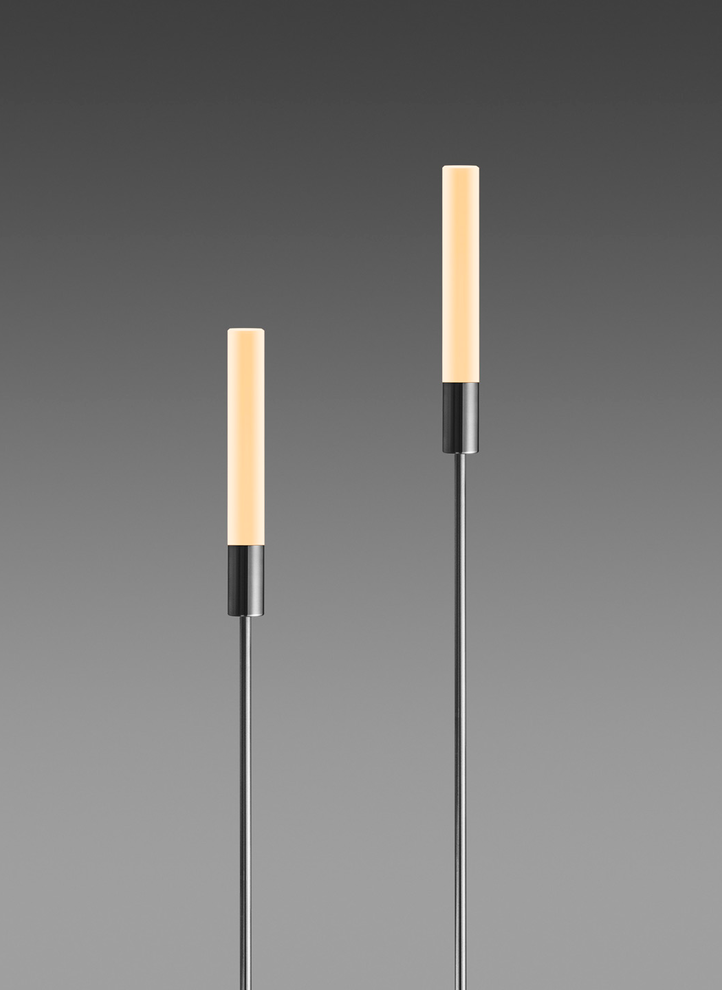 REEDS