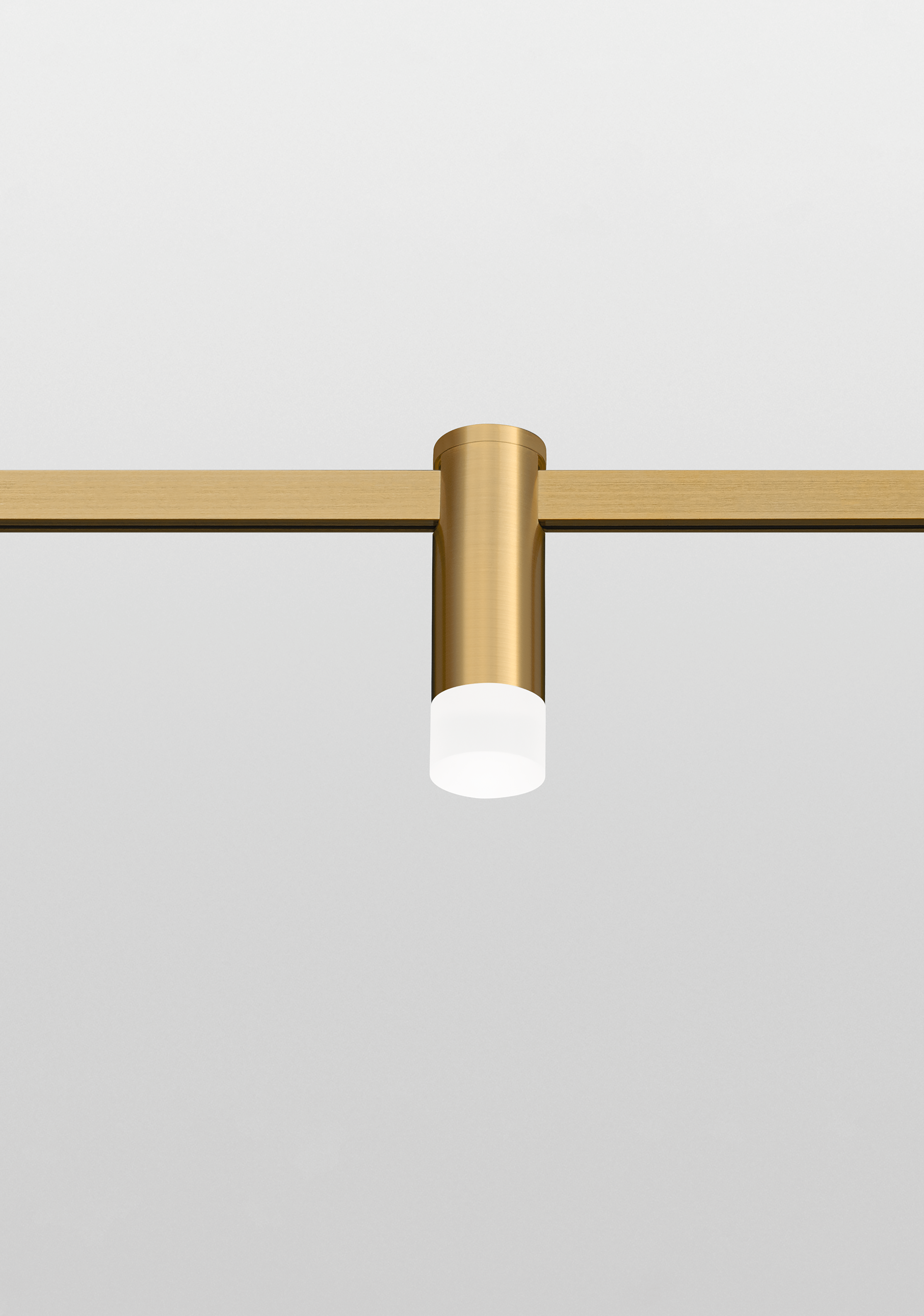 BRASS LOCUS SOFT