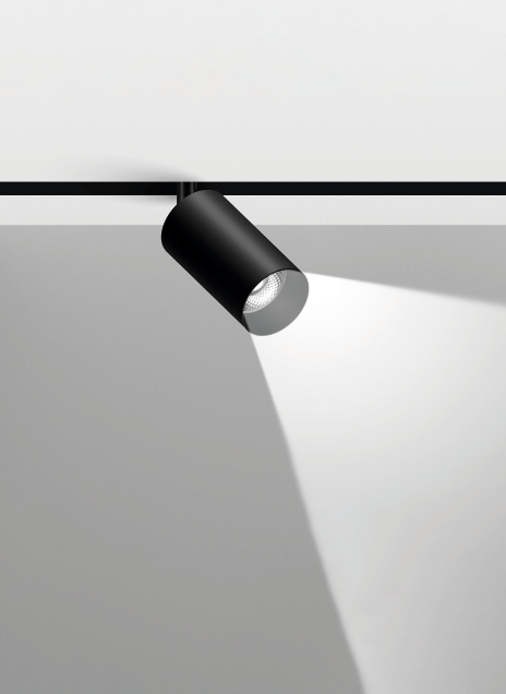 RULE LOCUS VITA LIGHT